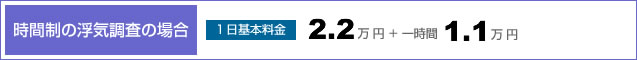 [時間制の浮気調査の場合] （１日基本料金）2.2万円 + 一時間 1.1万円